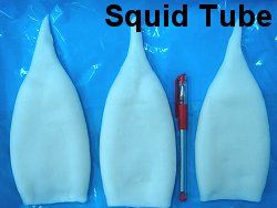 squid tube 